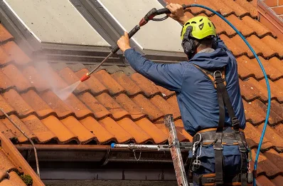 Démoussage et hydrofuge de toiture à Coise